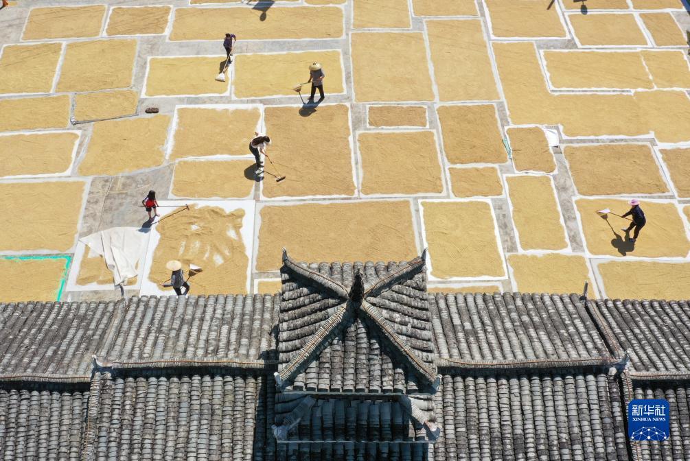 宝马会线上官网